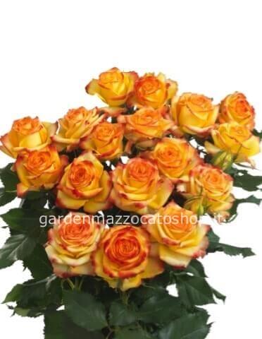 Rose colore arancio da comporre in mazzo per numero di steli.