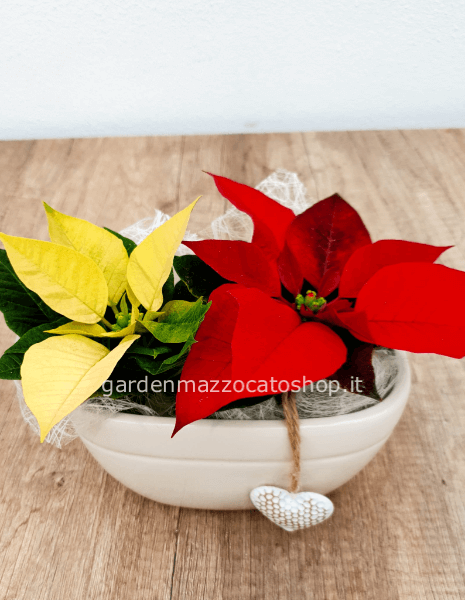 VASCHETTINA CLASSICA CON 2 STELLE MICRO + DECORO