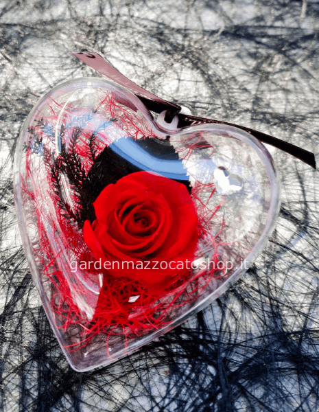 Rosa cuore
