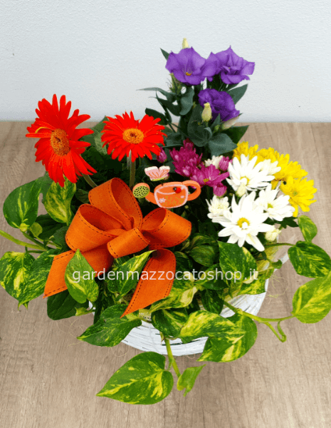 Cesto misto Primaverile/Estivo