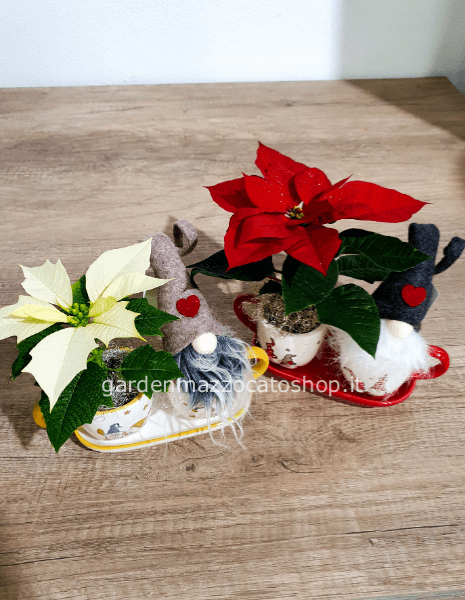 Tazza con gnomo e stella