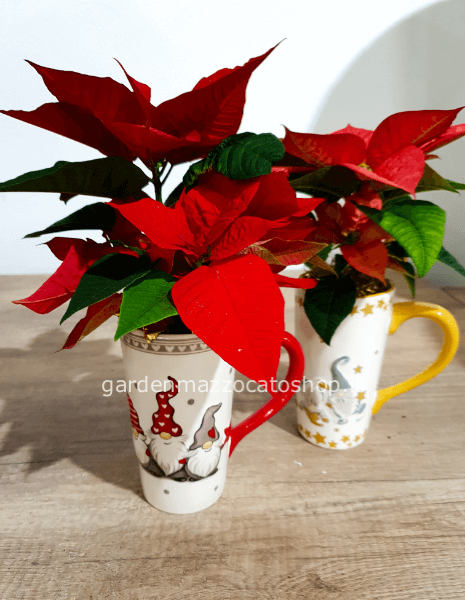 Tazza mug con stella