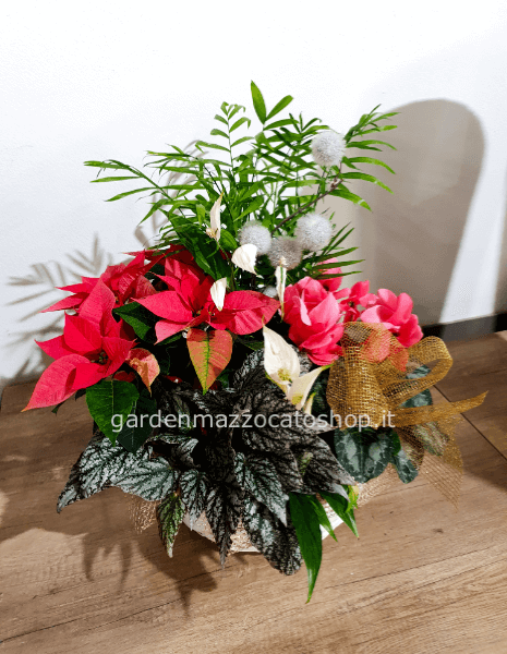 Cesto misto natalizio