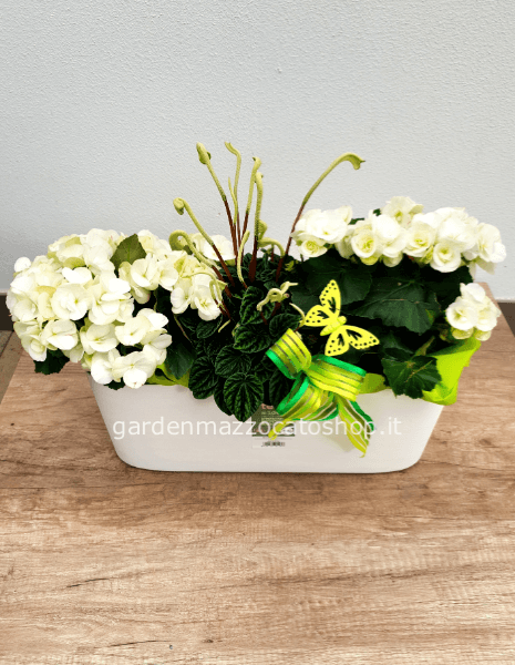 Vaschetta mix con begonie (100% plastica riciclata)