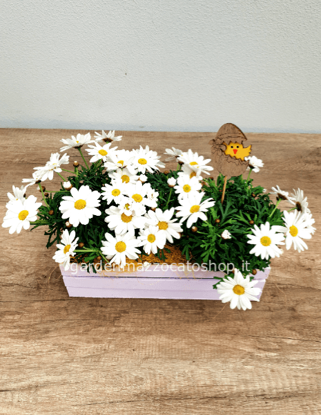 Cassetta bianca con marherite