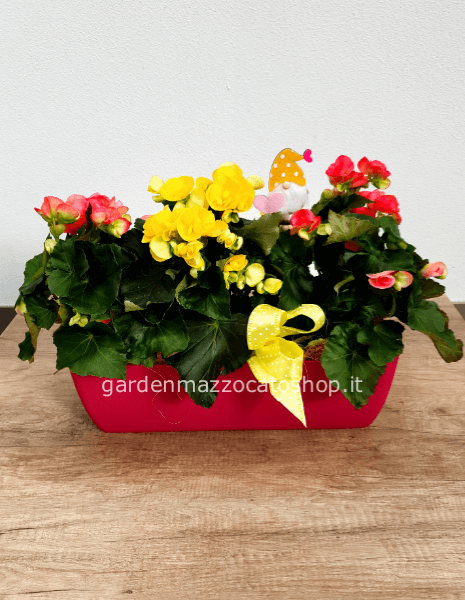 Vaschetta plastica fucsia