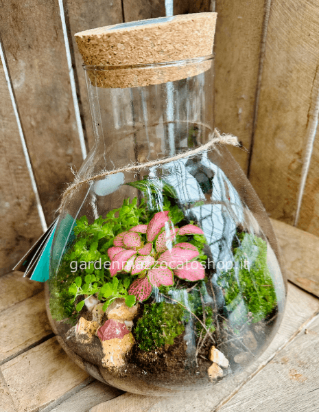 Terrario Medio in vetro