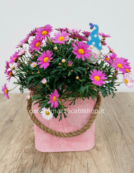 Margherita confezionata su caspò rettangolare in latta decorato