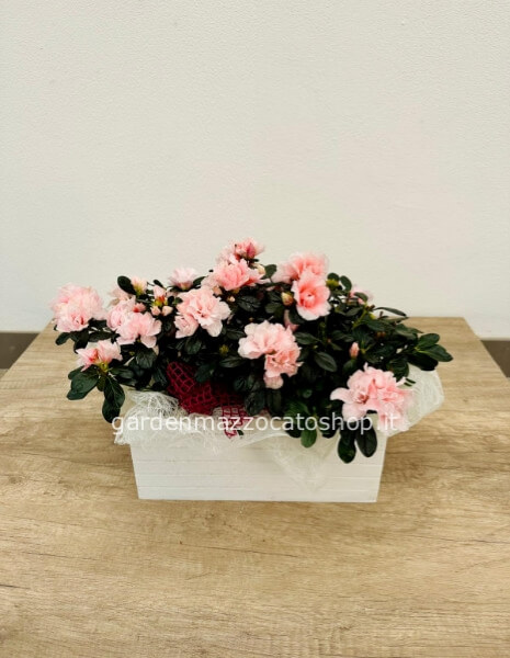 CASSETTINA GRANDE CON 2 AZALEE