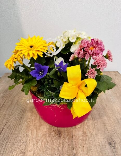 CIOTOLA PLASTICA LISCIA CON MISTO PIANTE DI STAGIONE (LIME, ROSSO, MARRONE, SALVIA,BIANCO,FUCSIA)