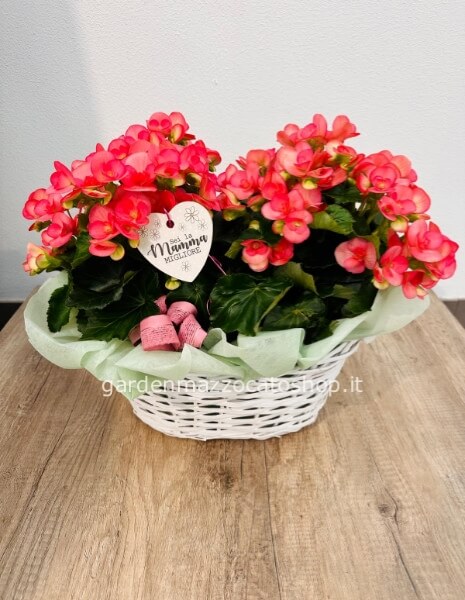 CESTINO CON BEGONIE IN TEMA MAMMA