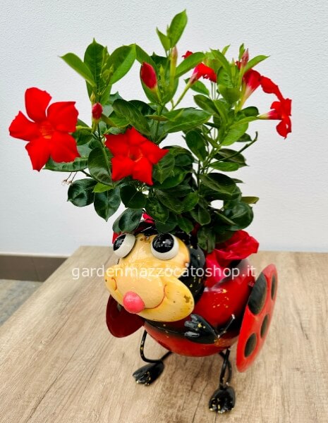 Coccinella con pianta stagionale