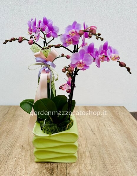 Vaso Verde