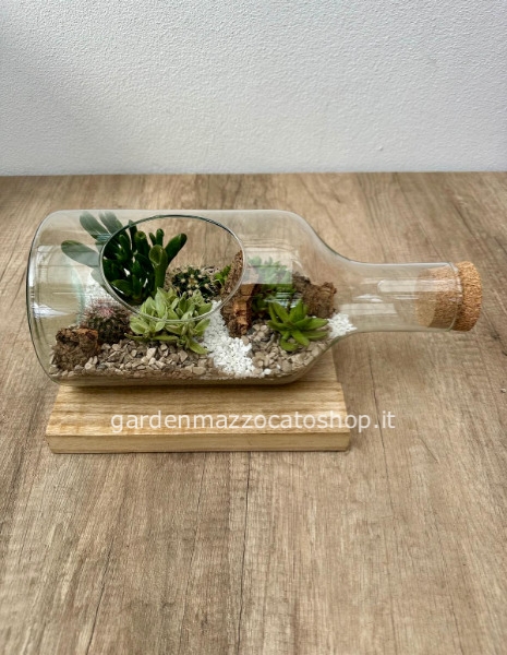 Bottiglia con piante grasse stile terrario