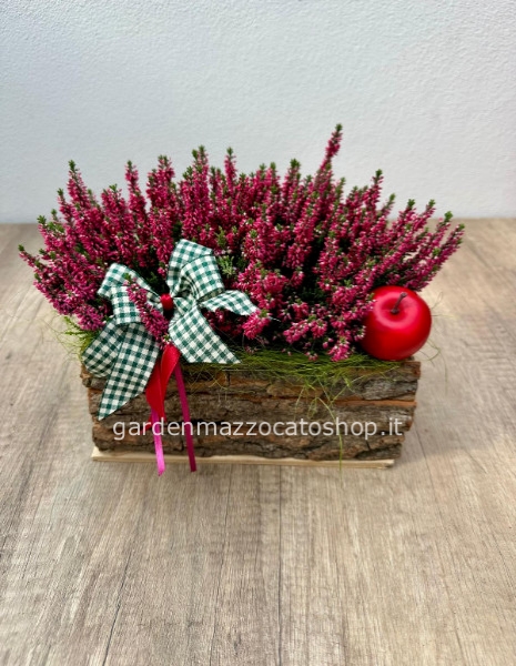 Composizione autunnale con callune