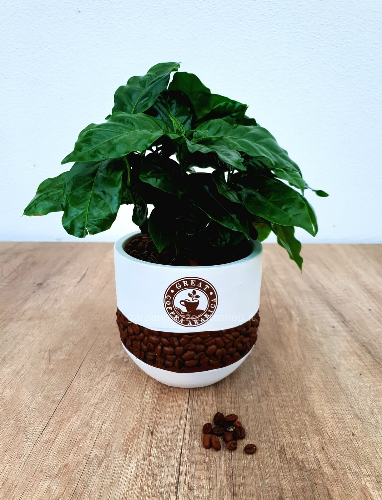 LE TAUCI Vasi per piante in ceramica con fori di drenaggio, set da 3, 20 + 16 + 14 cm, vasi da giardino per piante da interno ed esterno, vaso rotondo per orchidee grasse, smalto reattivo, nero LE TAUCI Vasi per piante in ceramica con fori di drenaggio, set da 3, 20 + 16 + 14 cm, vasi da giardino per piante da interno ed esterno, vaso rotondo per orchidee grasse, smalto reattivo, nero